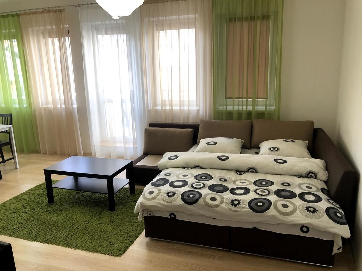 Апартаменты GIL Apartment on square Sh. Petefi, centre. 1 room Ужгород-4