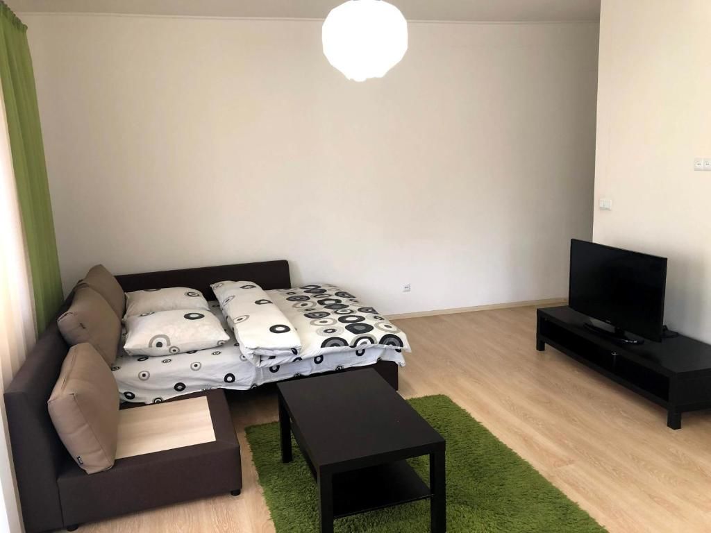 Апартаменты GIL Apartment on square Sh. Petefi, centre. 1 room Ужгород-17