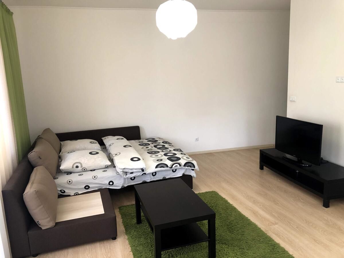 Апартаменты GIL Apartment on square Sh. Petefi, centre. 1 room Ужгород-7