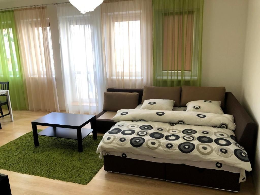 Апартаменты GIL Apartment on square Sh. Petefi, centre. 1 room Ужгород-11